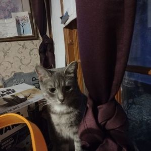 Meet your Posher, Trina